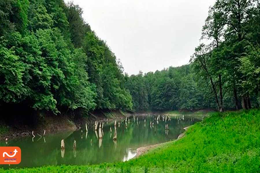 جنگل کیاسر از جاهای دیدنی اطراف دریاچه چورت