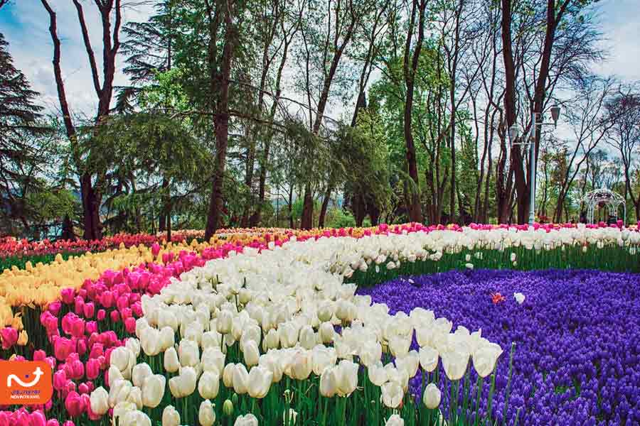 بهار در ترکیه