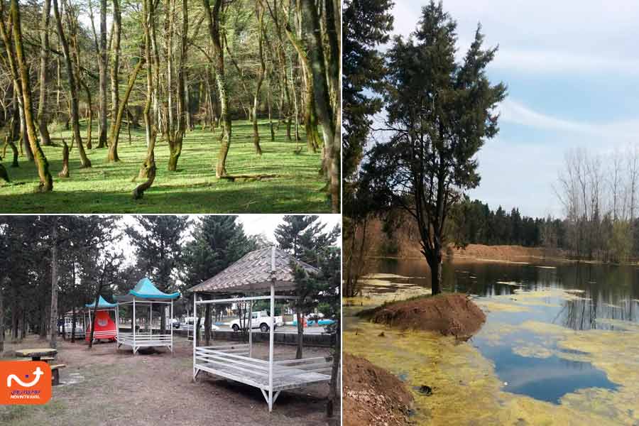 مرورهای پارک جنگلی بندر انزلی