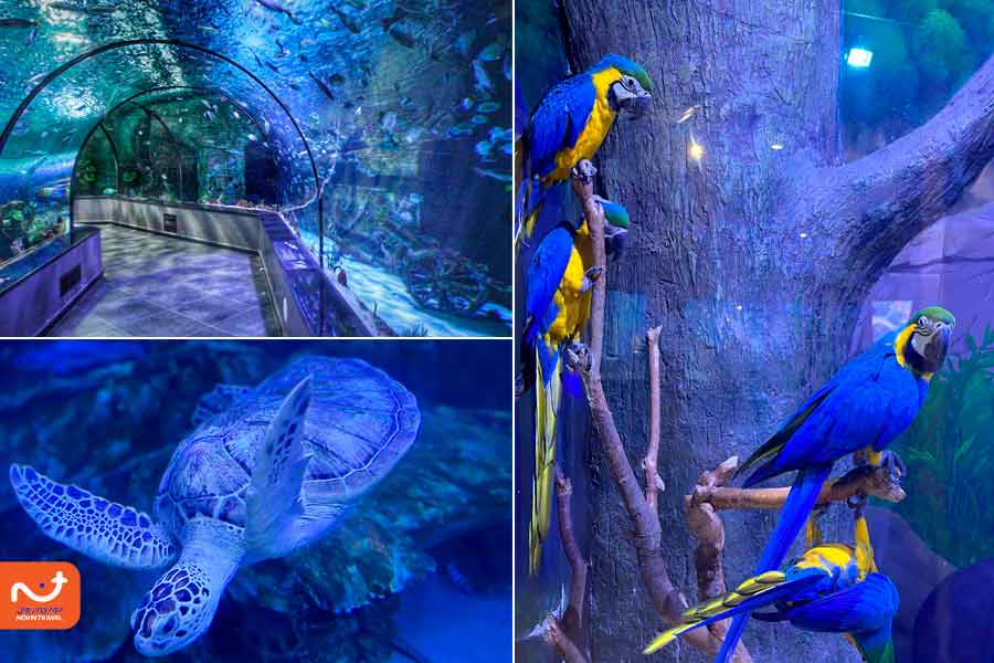 آکواریوم انزلی: جاذبه گردشگری بندر انزلی