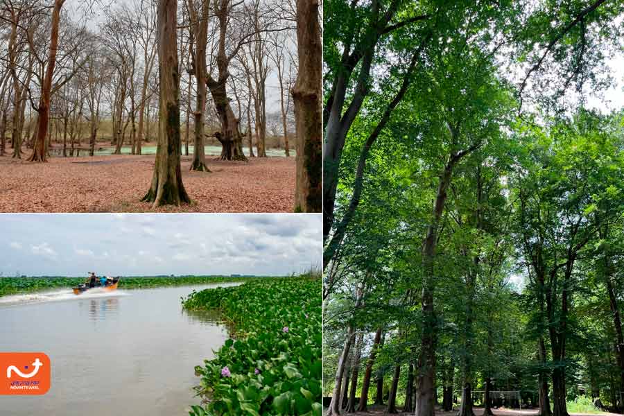 پارک جنگلی اشپلا عکسها