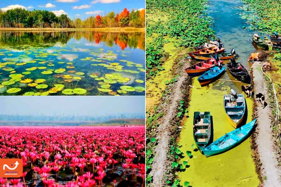 تالاب انزلی از جاهای دیدنی انزلی در روز