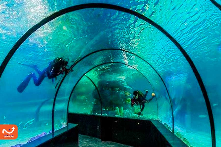 آکواریوم بندر انزلی