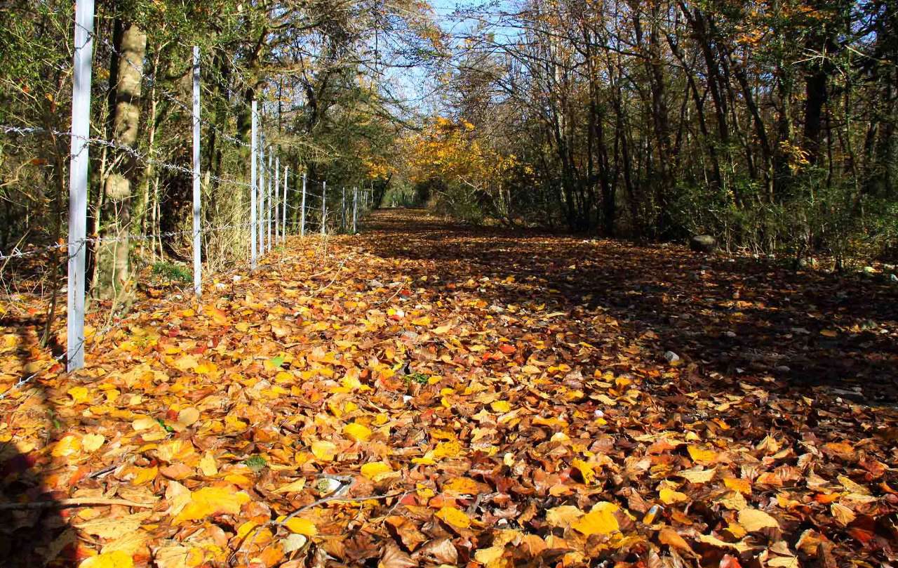 بهترین شهرهای ایران برای مسافرت در پاییز