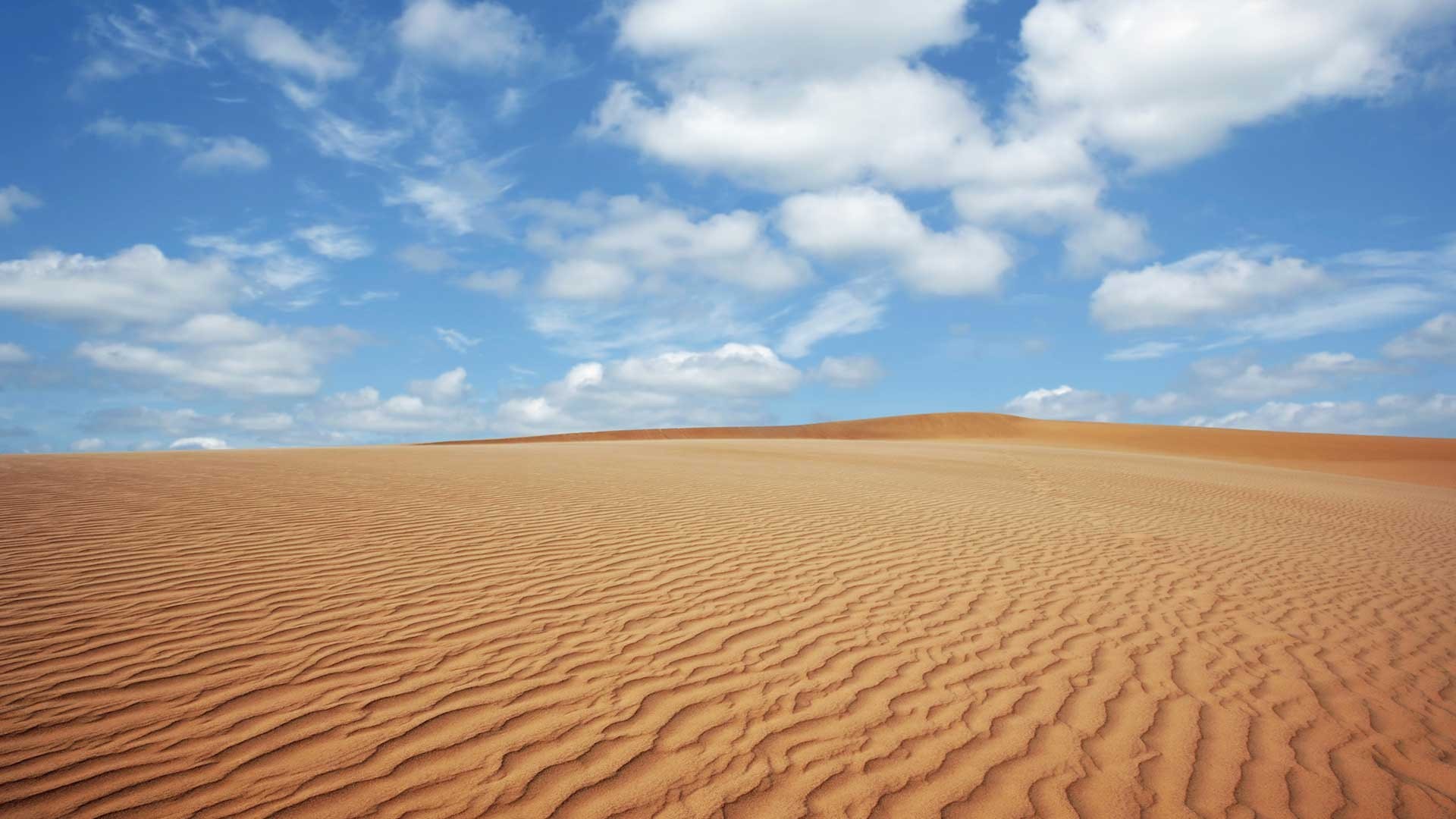 مسافرت در پاییز