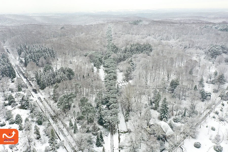 جنگل بلگراد استانبول یکی از لوکیشن‌های جذاب عکاسی در استانبول به شمار می‌رود