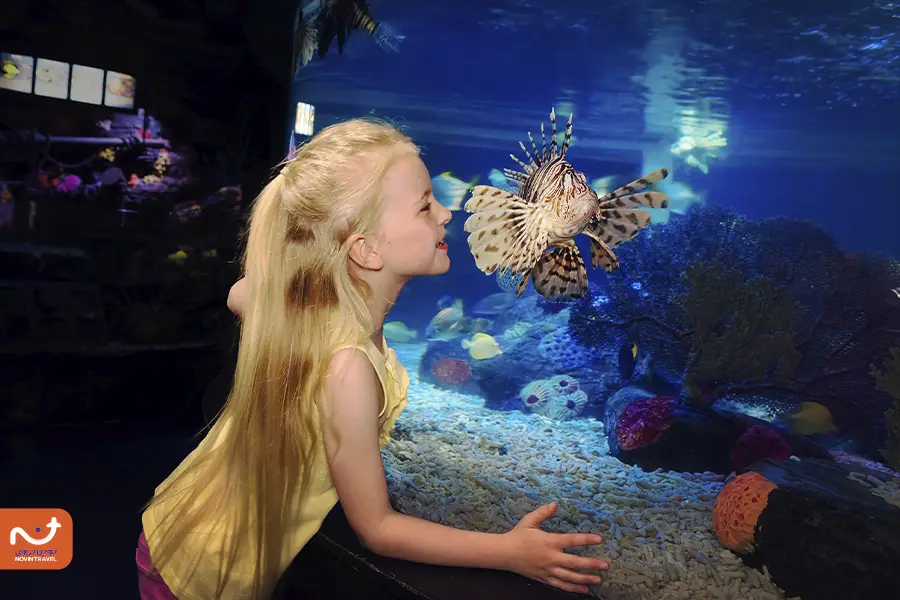 آکواریوم استانبول در طول هفته از 10 صبح تا 7 شب باز است