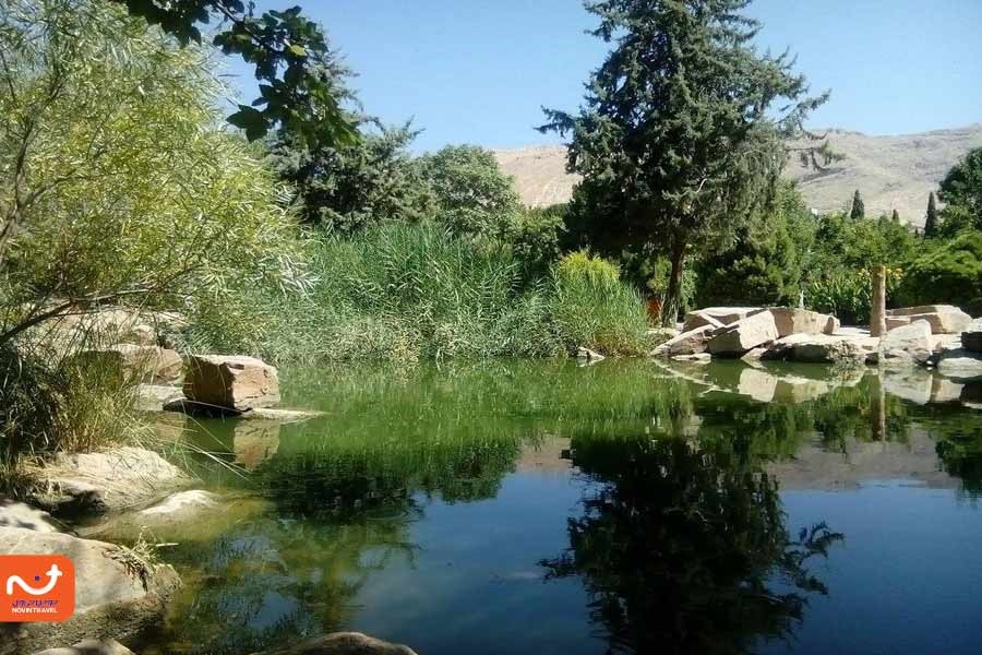 برکه زیبای باغ ارم شیراز