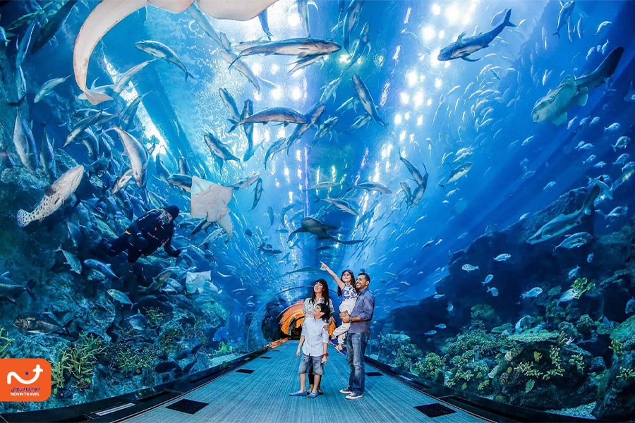 آکواریوم دبی، از زیباترین جاذبه های گردشگری دبی