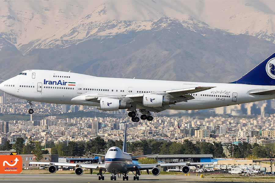 ایران ایر و شرایط حمل حیوان خانگی