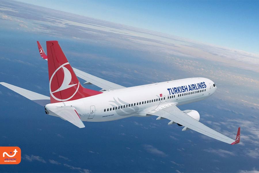 شرایط هواپیمایی ترکیش ایرلاین در حمل حیوانات خانگی