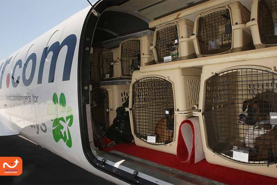 قوانین متفاوت در ایرلاین‌های داخلی و خارجی