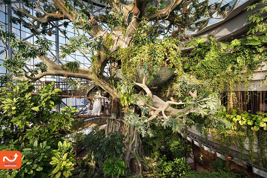 سیاره سبز، از بهترین مکان های دیدنی دبی