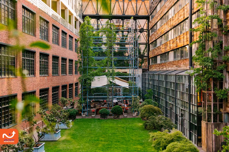 فضای سبز زیبای هتل رومز