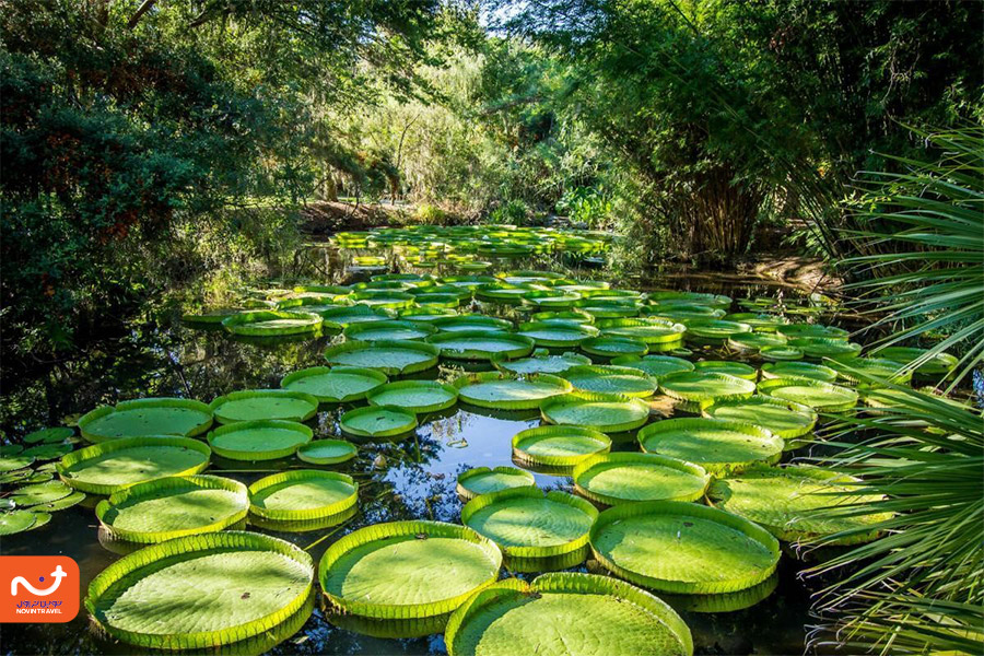 آدرس باغ گیاه شناسی تهران