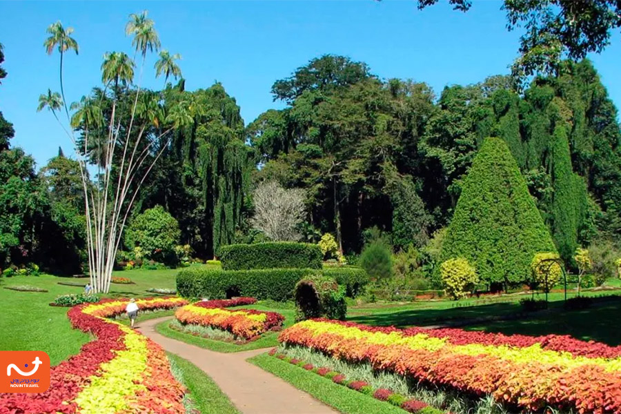 باغ میوه‌های بومی در باغ گیاه شناسی تهران