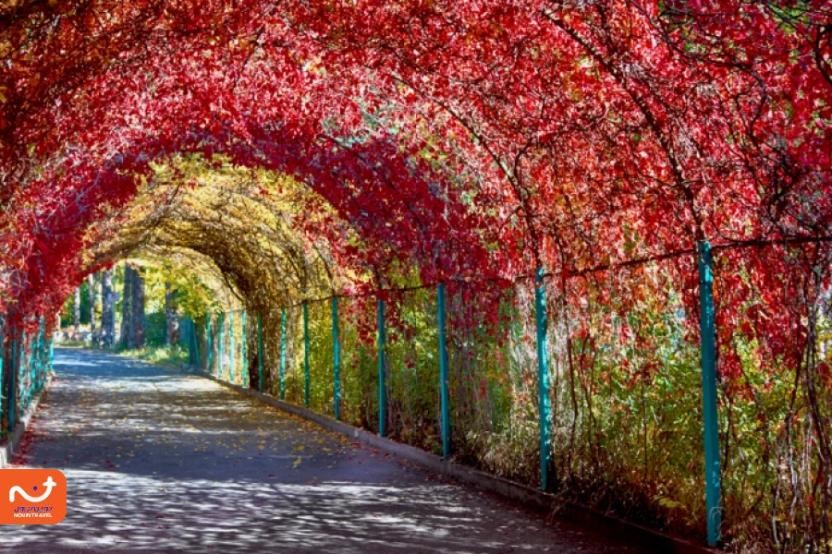 باغ گیاه‌شناسی ایروان از زیباترین مکان های دیدنی ارمنستان است. 