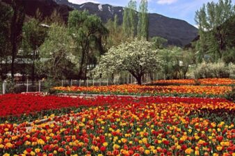 باغ گیاه‌شناسی؛ طبیعتی بی‌نظیر در اتوبان تهران - کرج