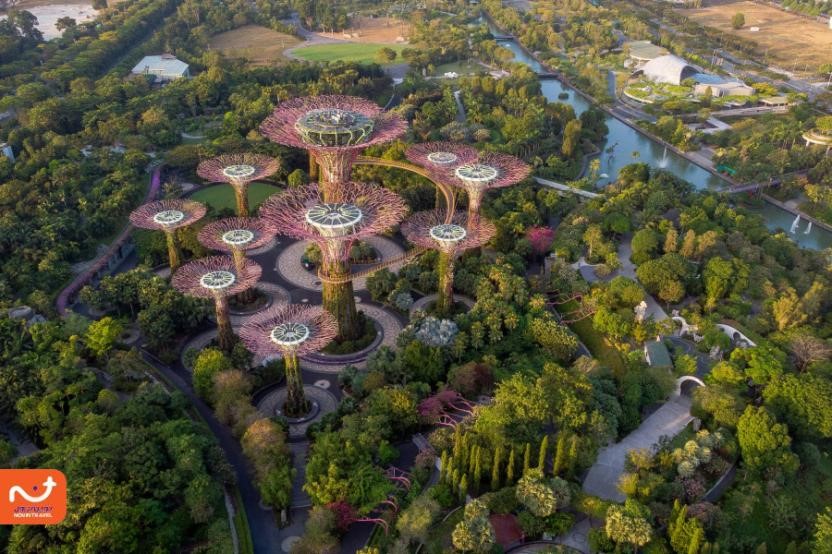 از جاهای دیدنی سنگاپور می‌توان به باغ‌های خلیج اشاره کرد. 