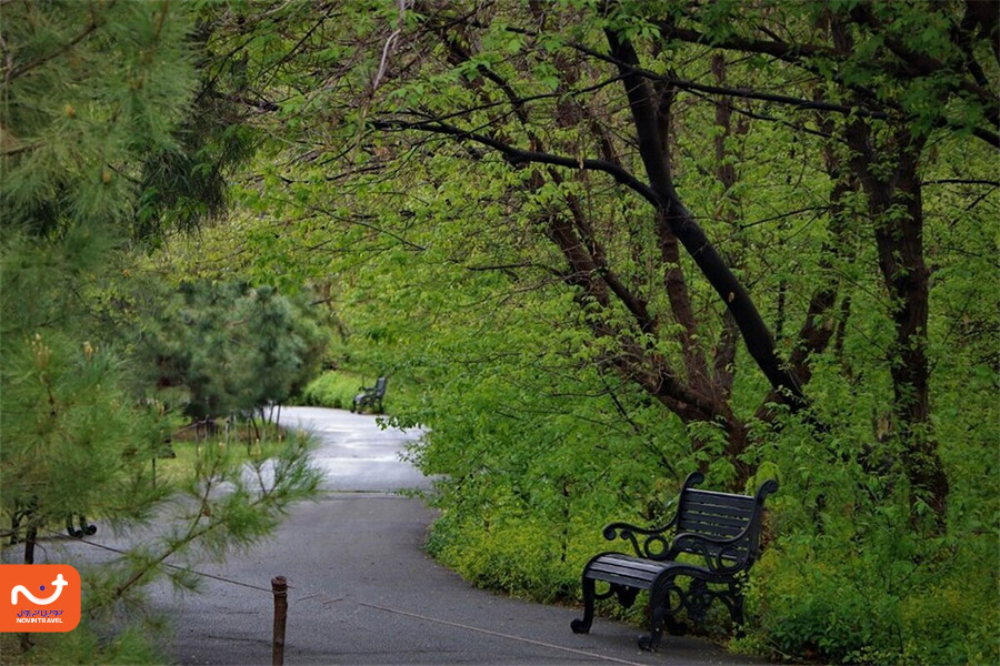 رویشگاه هیرکانی باغ گیاه‌شناسی تهران