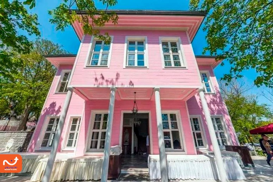 نمایی زیبا از عمارت صورتی پارک امیرگان