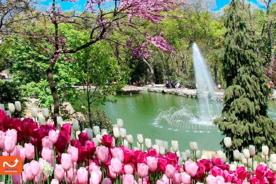 لاله های رنگارنگ در پارک امیرگان