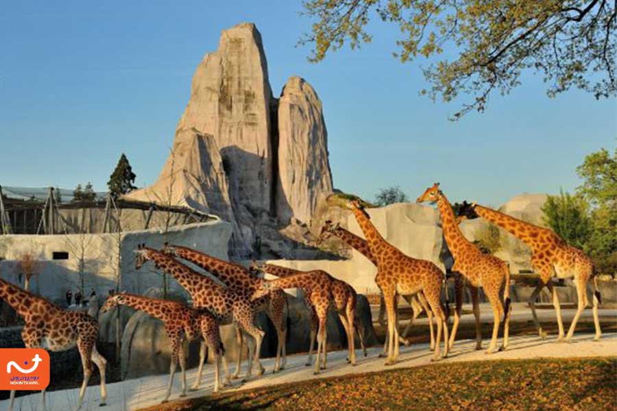 پارک جانورشناسی پاریس