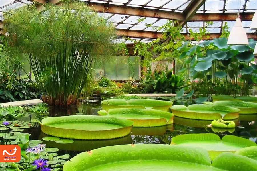 گلخانه جنوب ایران در باغ گیاه‌شناسی تهران