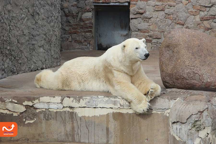 نمایی از باغ وحش لنینگراد در سنت پترزبورگ، روسیه