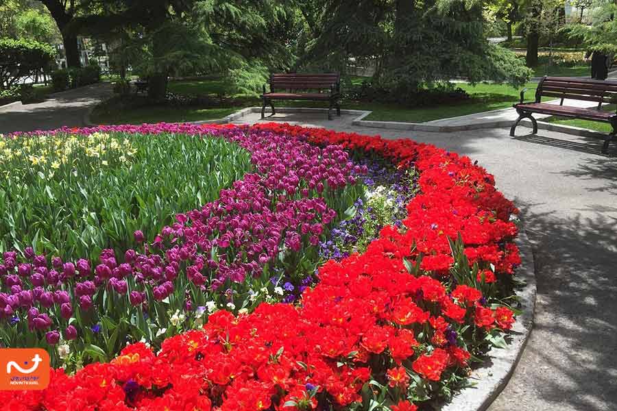 نمایی از گل‌های پارک ملت تهران در فصل بهار
