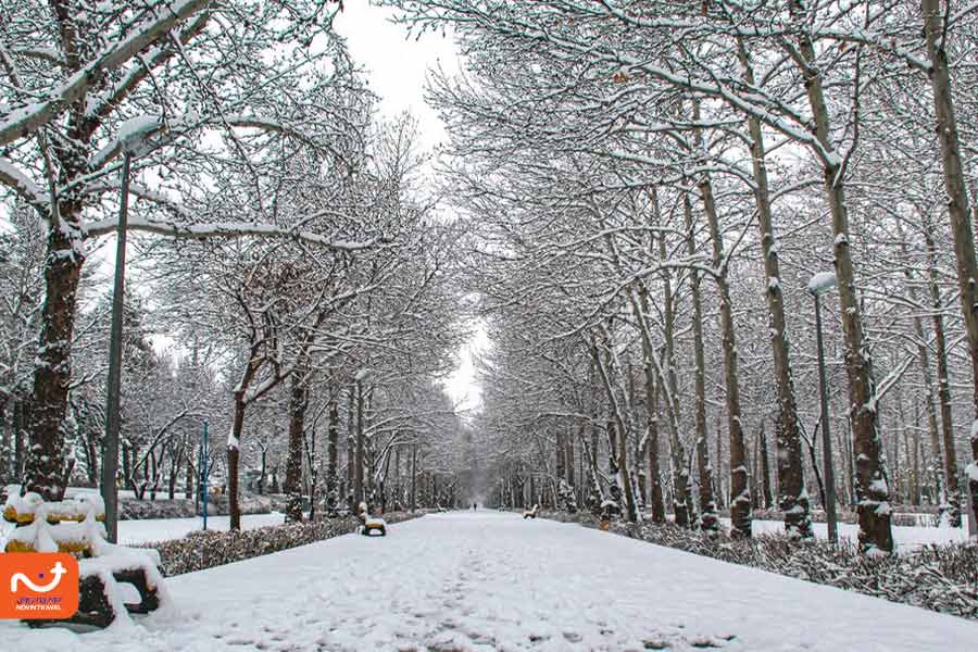 نمایی از پارک ملت تهران در یک روز برفی