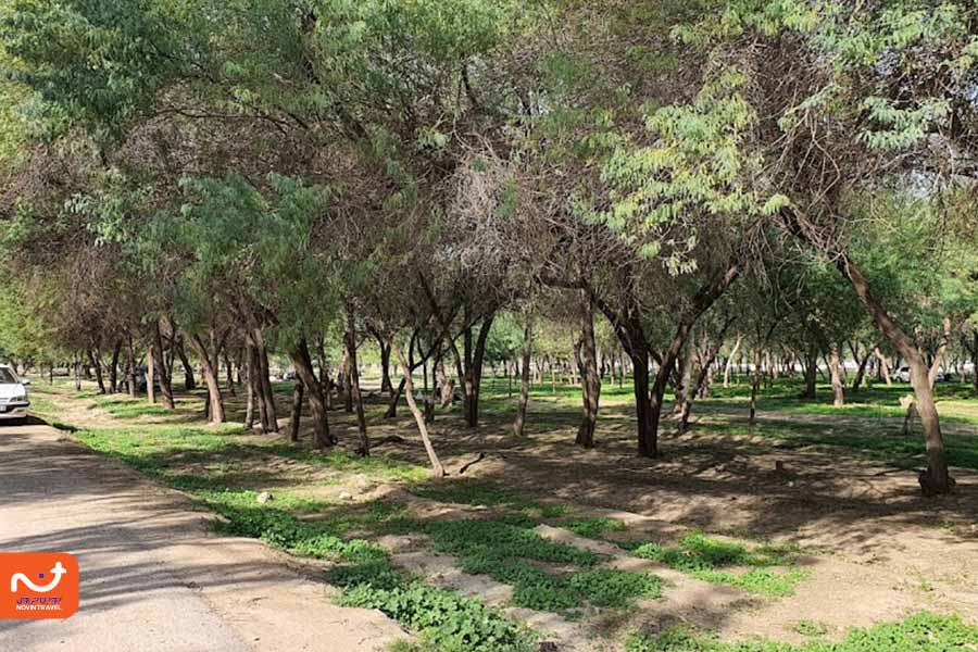 جاهای دیدنی اهواز، پارک جنگلی اهواز