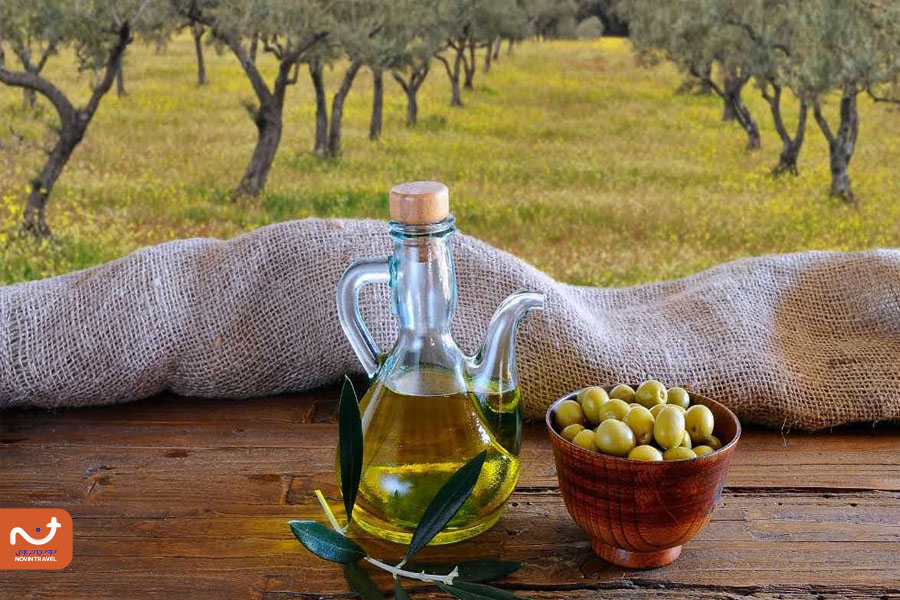 زیتون؛ سوغات اسپانیا
