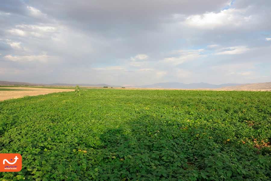 باغ قوام در نزدیکی آرامگاه کوروش