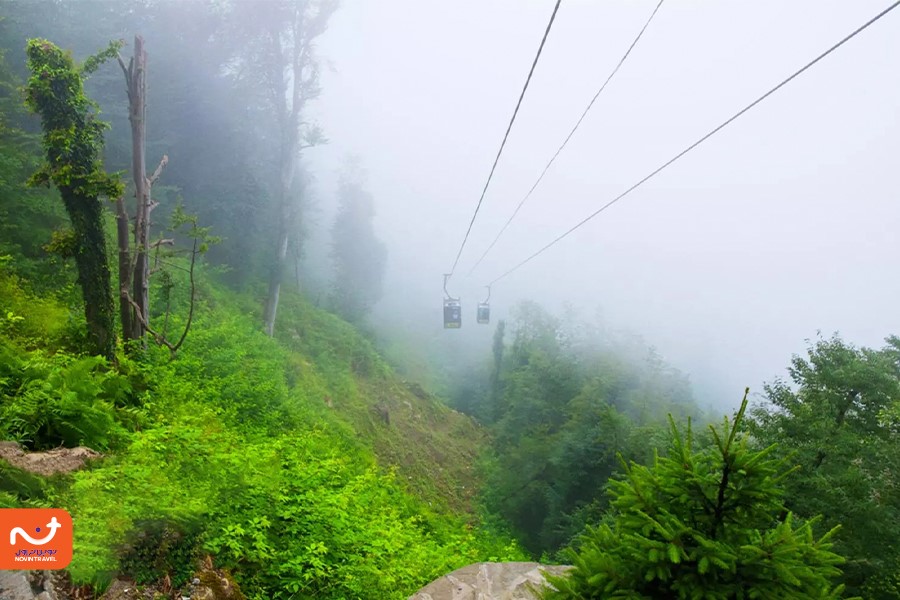 یکی از بهترین جاهای دیدنی رامسر تله کابین جذاب و زیبای این شهر است.