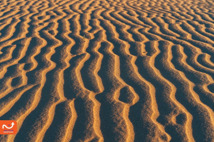 عکاسی طبیعت از تفریحات جذاب کویر مصر است.