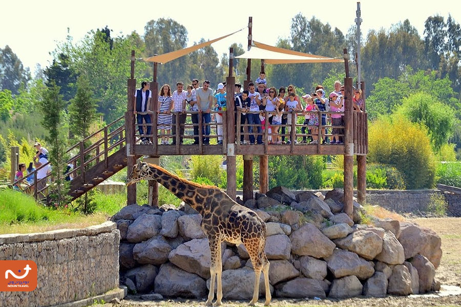 پارک حیات‌ وحش ازمیر؛ یکی از دیدنی های ازمیر