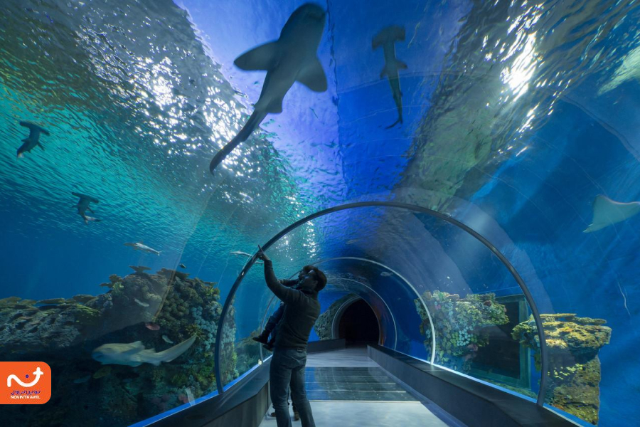 یکی از دیدنیهای ترابزون ترکیه که برای خانواده‌ها بسیار جذاب است، آکواریوم این شهر است.