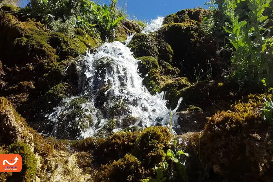 پوشش گیاهی متنوعی در اطراف آبشار وجود دارد و پرندگان گوناگونی در این منطقه زندگی می‌کنند. 