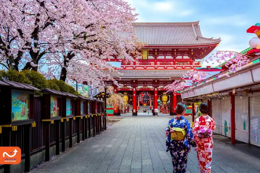 جاذبه توکیو هر گردشگری را محسور می کند.