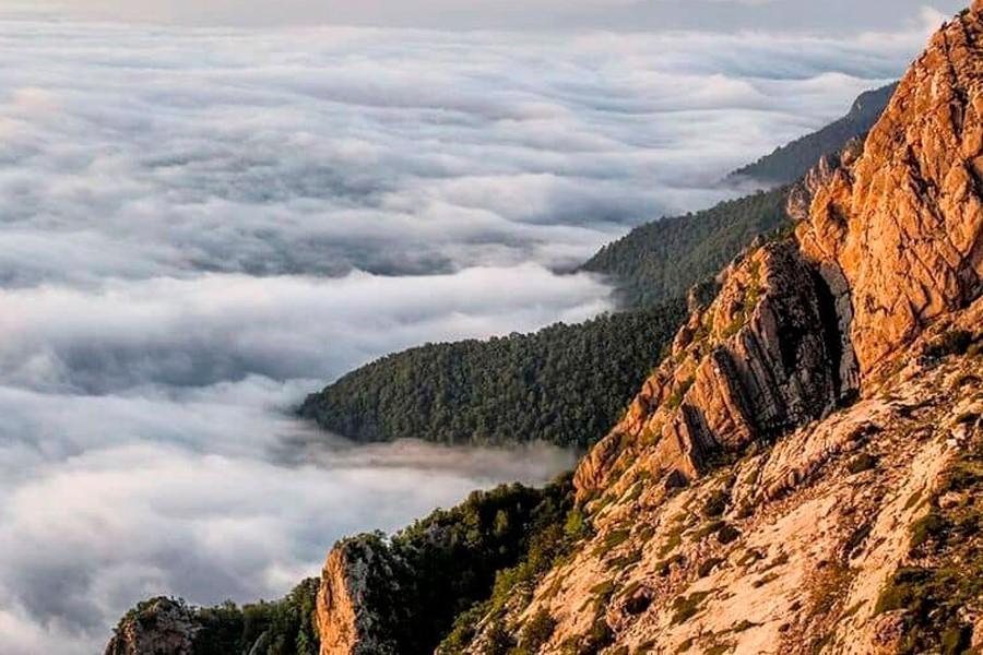 طبیعت بکر و زیبای ییلاق اوپرت.