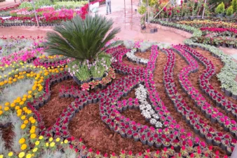 آغاز نمایشگاه گل و گیاه محلات از ۲۳ خرداد