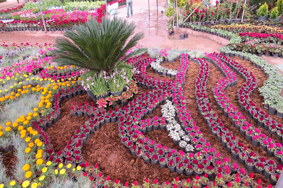 آغاز نمایشگاه گل و گیاه محلات از ۲۳ خرداد