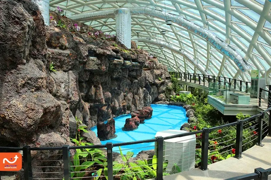 باغ وحش و پارک استوایی قونیه