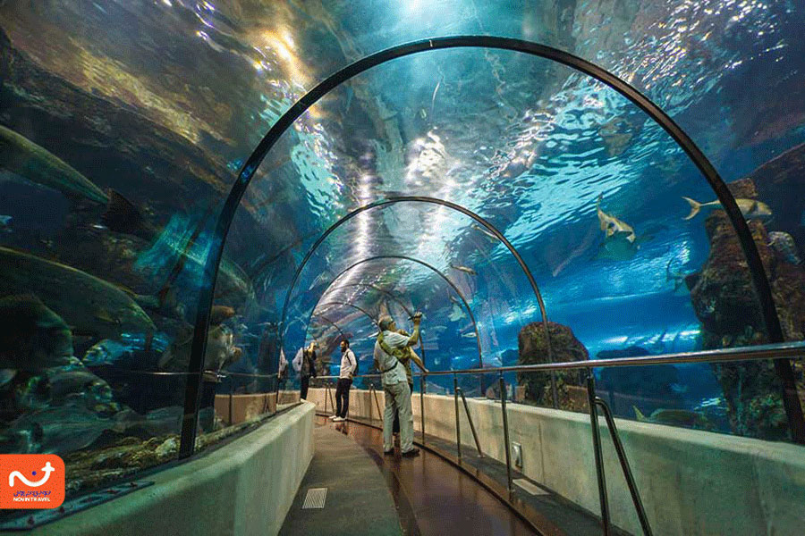 آکواریوم بارسلونا اسپانیا