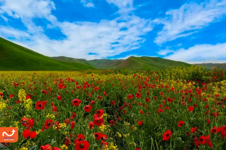 دشت گل‌چشمه در ترکمن صحرا.