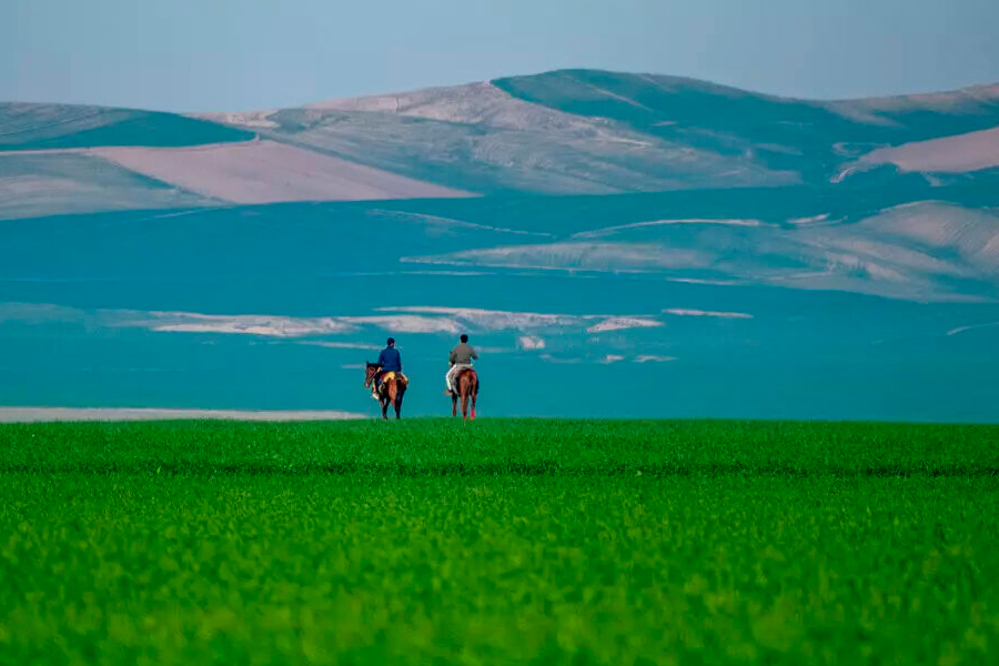 ترکمن صحرا کجاست