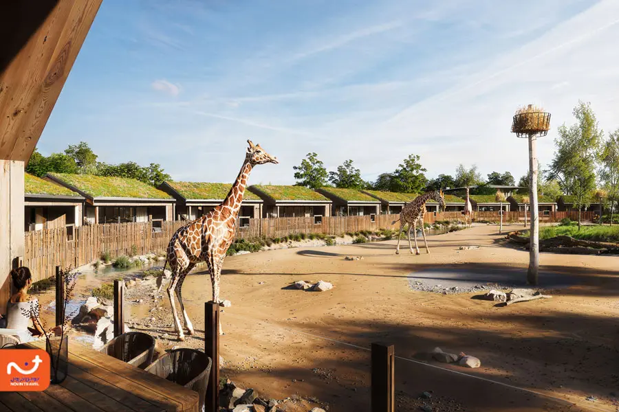 باغ وحش چستر از جاهای دیدنی انگلستان