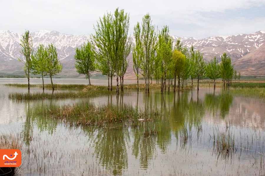 طبیعت زیبای تالاب چغاخور