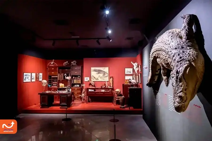 موزه پارک کروکودیل دبی